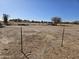 Empty lot with sparse vegetation and two posts at 51989 W Esch Trl, Maricopa, AZ 85139