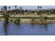 Calm lake view with abundant waterfowl at 13658 W Sandridge Dr, Sun City West, AZ 85375