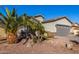 Home's facade with desert landscaping, a quaint palm tree, and a concrete driveway at 1814 W Desert Spring Way, San Tan Valley, AZ 85144