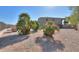 Landscaped backyard with gravel and palm trees at 22155 N Cline Ct, Maricopa, AZ 85138