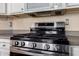 Stainless steel gas range and microwave at 3055 N Red Mountain Rd # 149, Mesa, AZ 85207