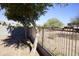 Backyard with a tree and a metal fence at 36285 N Mirandesa Dr, San Tan Valley, AZ 85143