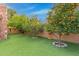 Landscaped backyard with multiple orange trees and artificial turf at 5402 E Paradise Ln, Scottsdale, AZ 85254