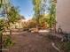 Backyard with mature trees and shrubs, needing some landscaping work at 6751 N 77Th Dr, Glendale, AZ 85303