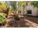 Backyard with mature trees, shrubs, and a mostly dirt ground cover at 6751 N 77Th Dr, Glendale, AZ 85303