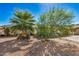 Landscaped yard with a palm tree and other plants at 6810 W Vermont Ave, Glendale, AZ 85303