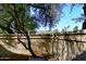 Landscaped backyard with mountain views and tall trees at 7904 E Pepper Tree Ln, Scottsdale, AZ 85250