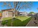 A fully landscaped backyard with gravel, grass, a covered patio and block wall at 8549 E Carol Ave, Mesa, AZ 85208