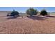 Landscaped backyard with gravel and mature trees at 9283 W Rafael Dr, Arizona City, AZ 85123