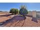 Landscaped backyard with two fruit trees at 9283 W Rafael Dr, Arizona City, AZ 85123