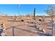 Landscaped yard with unique desert plants and metal yard art at 55215 W La Barranca Dr, Maricopa, AZ 85139