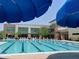 Swimming pool with lounge chairs and blue umbrellas at 8283 W Mantle Way, Florence, AZ 85132