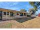 Ranch home featuring a covered patio and large backyard at 10288 W Snead N Cir, Sun City, AZ 85351