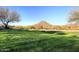 Open green space with mountain views at 12007 W Creosote Dr, Peoria, AZ 85383