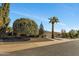 Street view of a mid-century home with mature landscaping at 12526 W Paintbrush Dr, Sun City West, AZ 85375