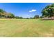 Expansive grassy area in a community park setting at 13627 N 150Th Ave, Surprise, AZ 85379