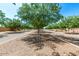 Landscaped median with trees lines a paved community road at 13627 N 150Th Ave, Surprise, AZ 85379