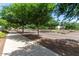 Tree-lined street with sidewalks, showcasing a peaceful neighborhood at 13627 N 150Th Ave, Surprise, AZ 85379