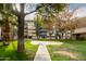 Well-manicured lawn with a concrete pathway at 351 E Thomas Rd # D208, Phoenix, AZ 85012