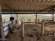 Covered horse stable with hay and wooden stalls at 42213 N 3Rd St, Phoenix, AZ 85086