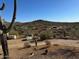 Desert landscape with cacti and distant homes, showcasing the property's location at 42213 N 3Rd St, Phoenix, AZ 85086