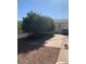 Sunny backyard with a patio and mature trees at 9302 E Broadway Rd # 103, Mesa, AZ 85208