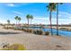 Scenic view of a lake and golf course with palm trees at 20621 N Canyon Whisper Dr, Surprise, AZ 85387
