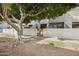 Front exterior view of condo with large tree at 2121 S Pennington Rd # 12, Mesa, AZ 85202