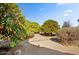 Landscaped backyard with two orange trees and gravel ground cover at 25633 N Abajo Dr, Rio Verde, AZ 85263