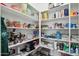Well-organized pantry with ample shelving for storage at 3045 E Bloomfield Pkwy, Gilbert, AZ 85296