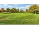 Large grassy park with mature trees and playground at 3045 E Bloomfield Pkwy, Gilbert, AZ 85296