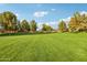 Spacious park with playground and trees at 3045 E Bloomfield Pkwy, Gilbert, AZ 85296