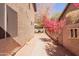 Landscaped side yard with walkway and flowering plants at 6216 W Morrow Dr, Glendale, AZ 85308