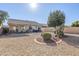 Backyard view showing gravel, plants, and patio at 10356 W Ross Ave, Peoria, AZ 85382