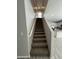 Carpeted staircase leading to the second floor at 1727 W Pollack St, Phoenix, AZ 85041