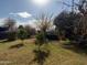 Sunny backyard with fruit trees and lush greenery at 178 W Harrison St, Chandler, AZ 85225