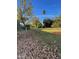 Large backyard with grass and leaf covered ground at 178 W Harrison St, Chandler, AZ 85225