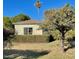 House with a large backyard, mature trees, and a fruit-bearing tree at 178 W Harrison St, Chandler, AZ 85225