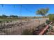 Landscaped backyard with golf course view at 19778 N Coyote Lakes Pkwy, Surprise, AZ 85378