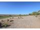 View of a landscaped golf course at 19778 N Coyote Lakes Pkwy, Surprise, AZ 85378