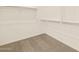 Walk-in closet with shelving and neutral carpet flooring at 22541 W Pontiac Dr, Surprise, AZ 85387