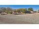 Landscaped yard with brick pavers and a gated entrance at 2602 S 226Th Dr, Buckeye, AZ 85326