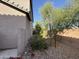 Landscaped side yard with small trees and shrubs at 7309 S 17Th Dr, Phoenix, AZ 85041