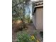 Landscaped side yard with desert plants and gravel at 7309 S 17Th Dr, Phoenix, AZ 85041