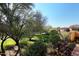 Green backyard with lush landscaping and distant view at 8911 E Rusty Spur Pl, Scottsdale, AZ 85255