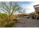 Backyard view of a house with patio and landscaping at 9403 W Fern Dr, Sun City, AZ 85351