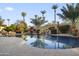 Tranquil pool area with rock waterfall feature, mature palm trees, and vibrant floral accents at 953 E Fieldstone Pl, Chandler, AZ 85249