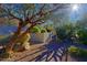 Mature trees and desert landscaping enhance curb appeal at 23335 N Country Club Trl, Scottsdale, AZ 85255