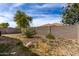 View of the fenced-in backyard with mature trees, shrubs and desert landscaping at 2716 W Allens Peak Dr, San Tan Valley, AZ 85144