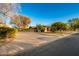 Ranch home with a spacious front yard, long driveway, and mature trees at 551 S Esquire Way, Mesa, AZ 85202